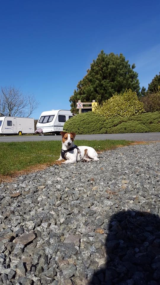 zobacz camping - zdjęcie 19