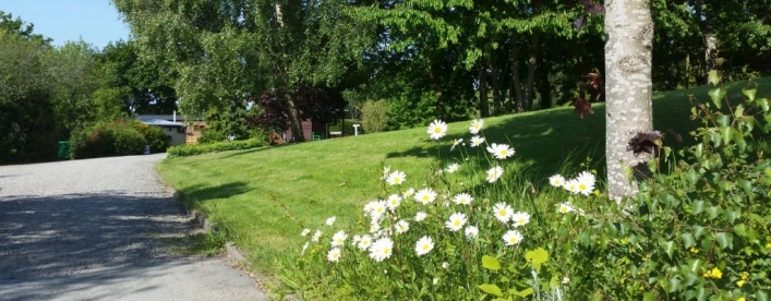 Daisy Bank Touring Park - zdjęcie 1