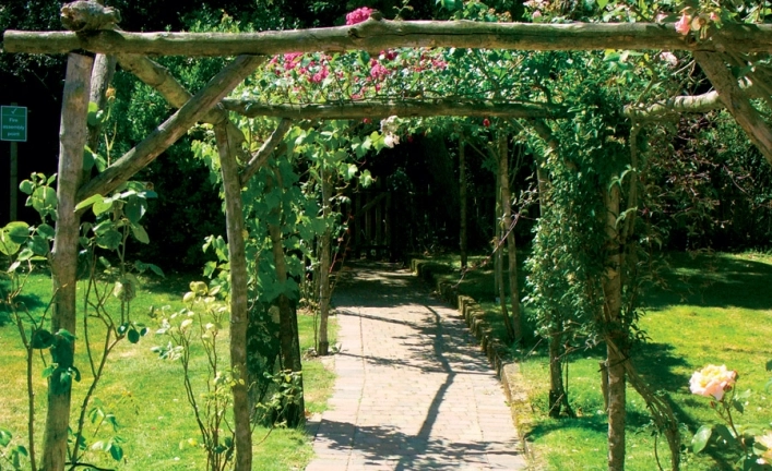 zobacz camping - zdjęcie 9