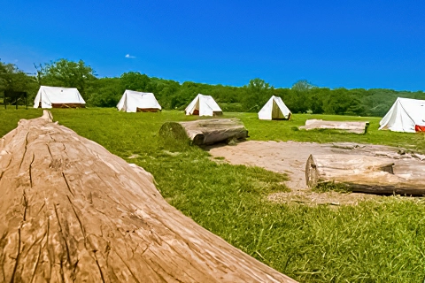 Debden House Camp Site