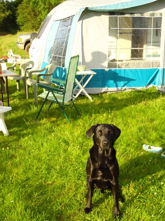 Denfurlong Farm Caravan & Campsite - zdjęcie 4