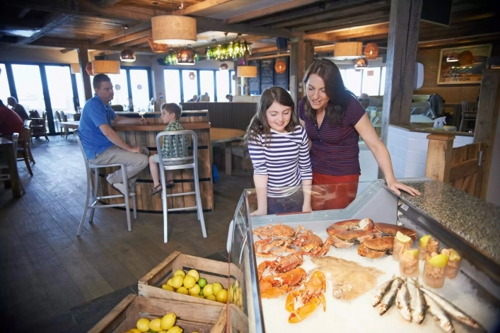 zobacz camping - zdjęcie 4