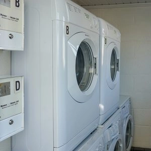 Dibles Park Company Ltd - zdjęcie 3