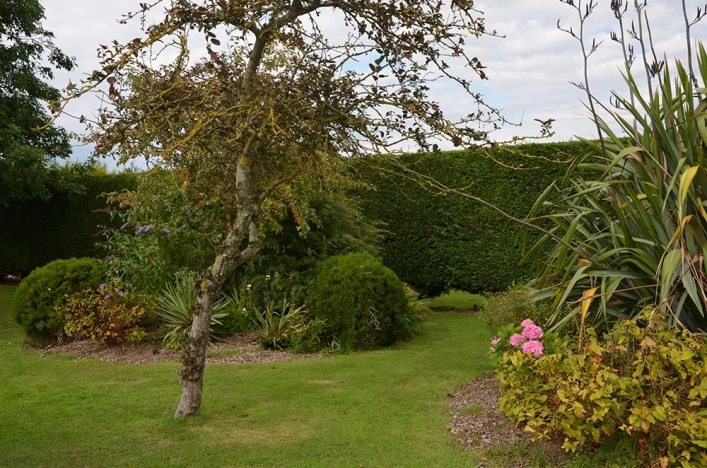 zobacz camping - zdjęcie 15