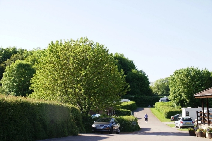 zobacz camping - zdjęcie 15