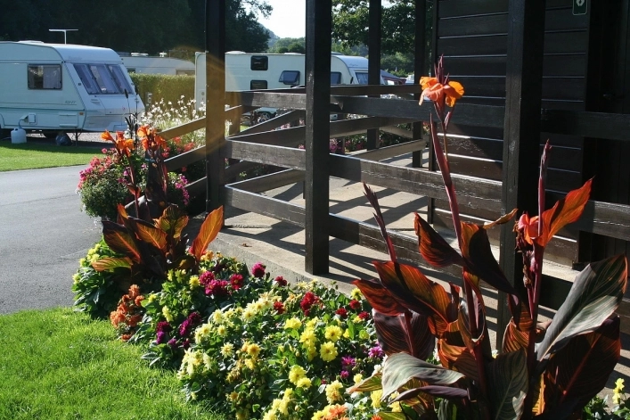 zobacz camping - zdjęcie 6