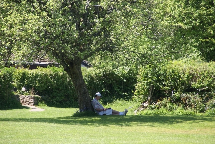 Dornafield - zdjęcie 1