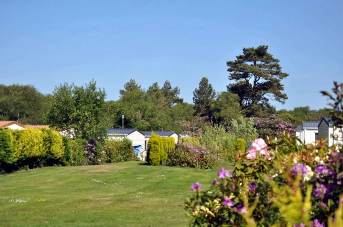 Drumlochart Caravan Park - zdjęcie 3