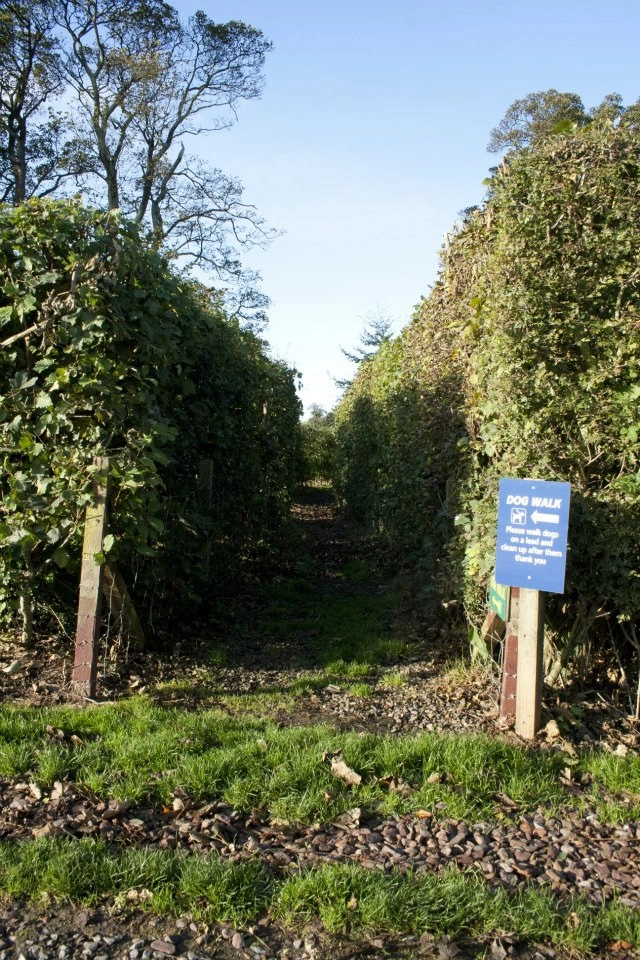 zobacz camping - zdjęcie 7