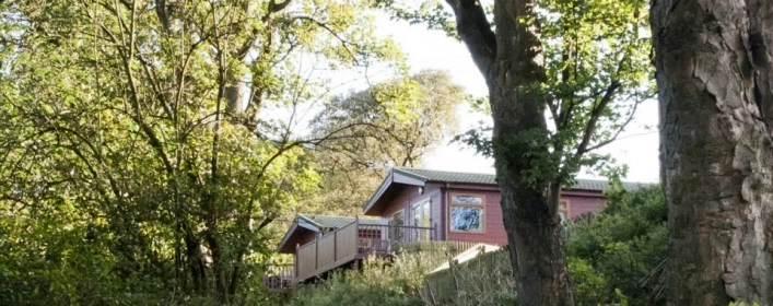 Drummohr Caravan Park - zdjęcie 4