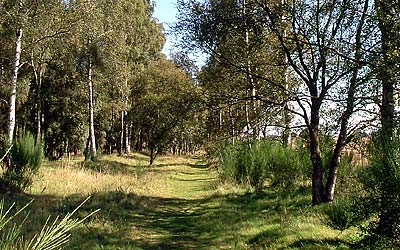 zobacz camping - zdjęcie 9