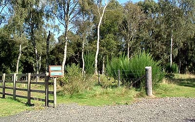 Drumshademuir Caravan & Camping Park - zdjęcie 4