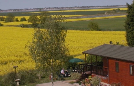 Eastland Meadows Country Park - zdjęcie 2