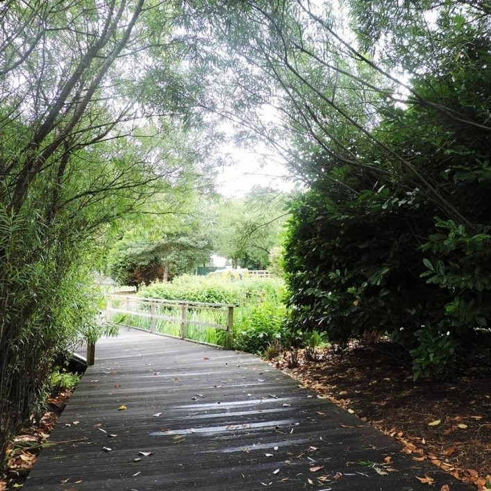 Edinburgh Festival Camping - zdjęcie 2