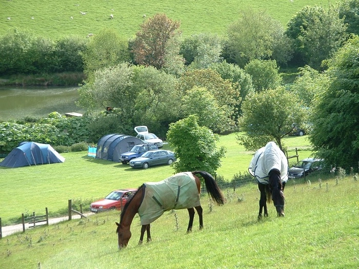 zobacz camping - zdjęcie 19