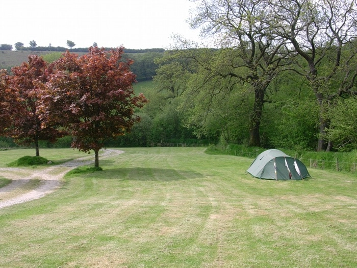 zobacz camping - zdjęcie 18