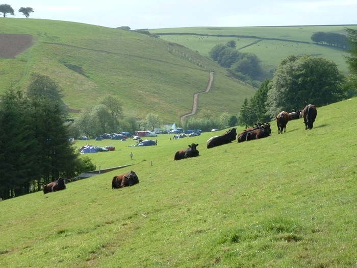 Exmoor Camping Westermill Farm - zdjęcie 1
