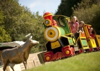 Fairway Holiday Park - zdjęcie 3