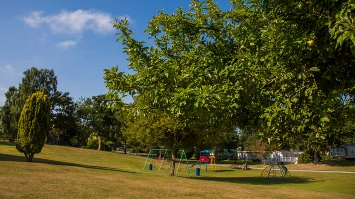 zobacz camping - zdjęcie 9