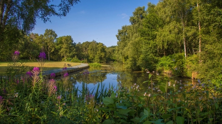 zobacz camping - zdjęcie 6