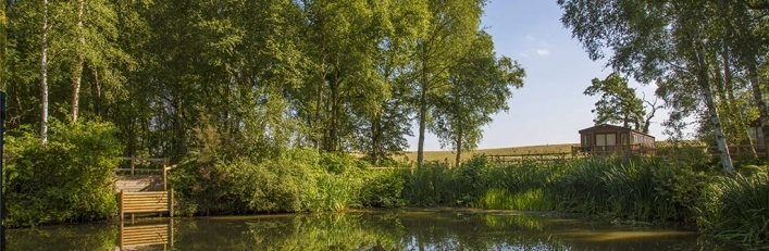 Fernwood Caravan Park - zdjęcie 4