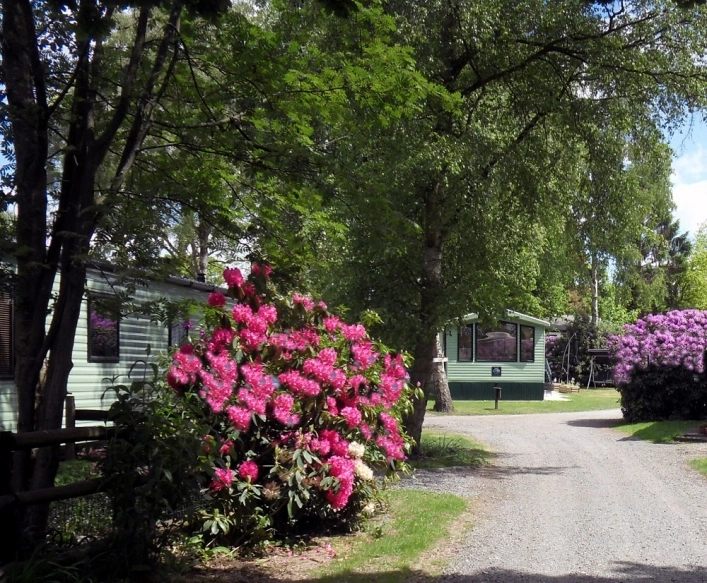 zobacz camping - zdjęcie 4