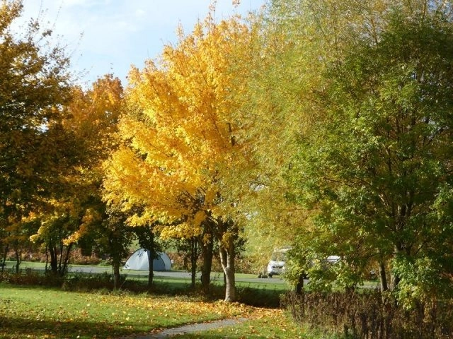 zobacz camping - zdjęcie 10