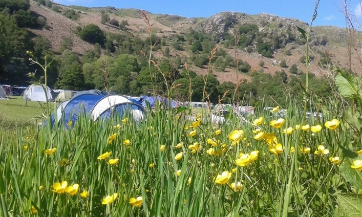 zobacz camping - zdjęcie 7