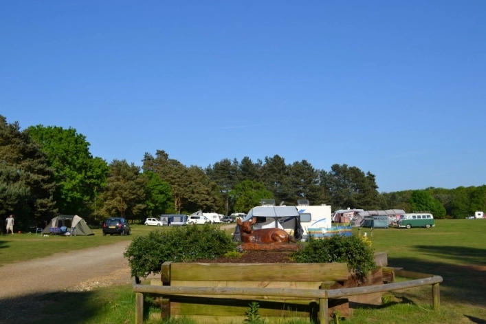 zobacz camping - zdjęcie 7