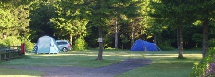 zobacz camping - zdjęcie 9