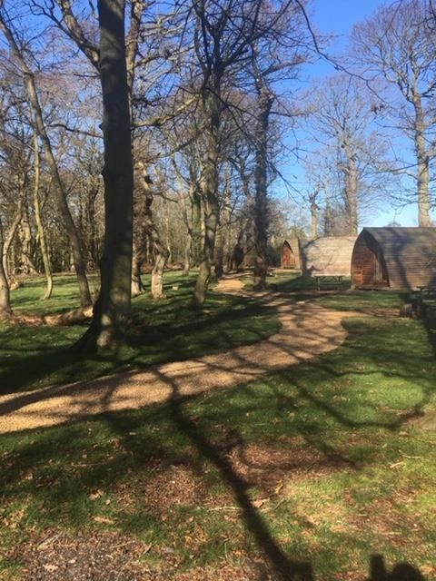 zobacz camping - zdjęcie 6