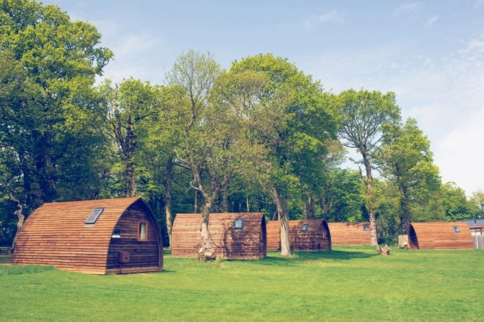 Forest Park Caravan Site - zdjęcie 1