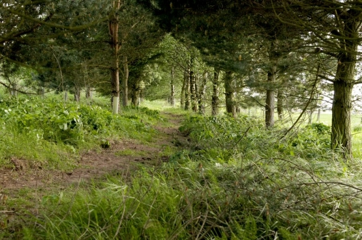 zobacz camping - zdjęcie 13