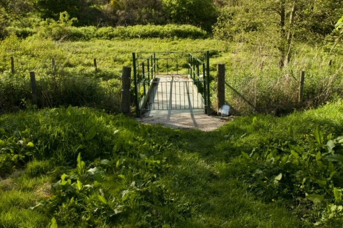Foresterseat Caravan Park - zdjęcie 2