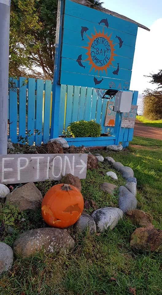 zobacz camping - zdjęcie 21