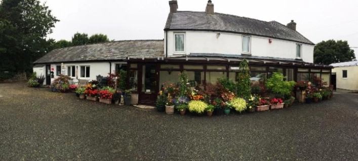 zobacz camping - zdjęcie 8