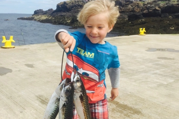 zobacz camping - zdjęcie 5