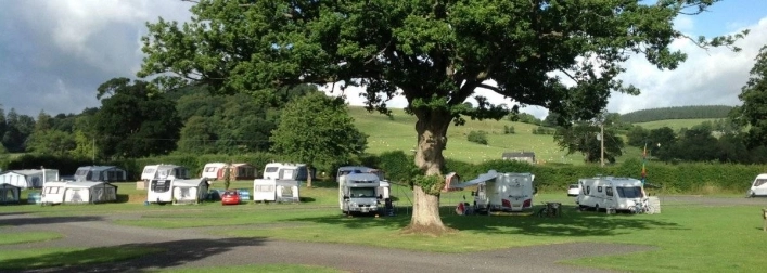 Glanllyn Lakeside Caravan & Camping Park - zdjęcie 4