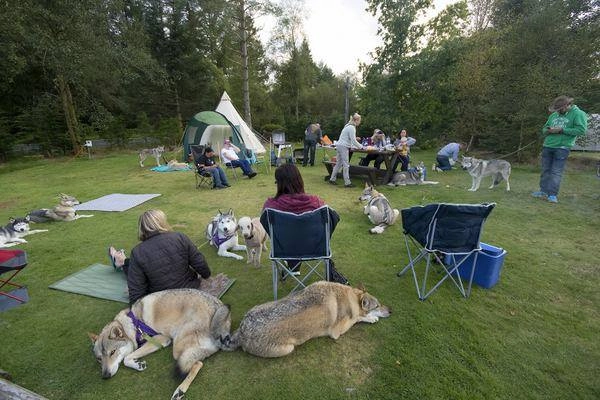 zobacz camping - zdjęcie 18