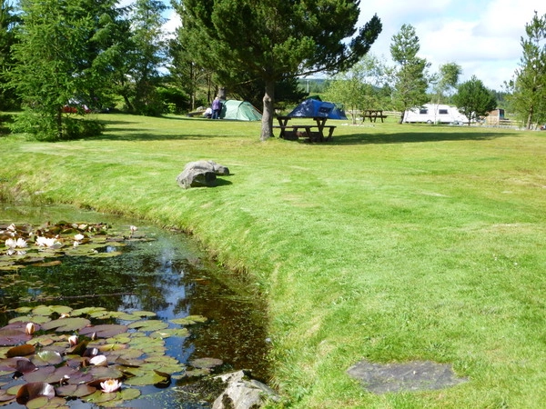 zobacz camping - zdjęcie 9