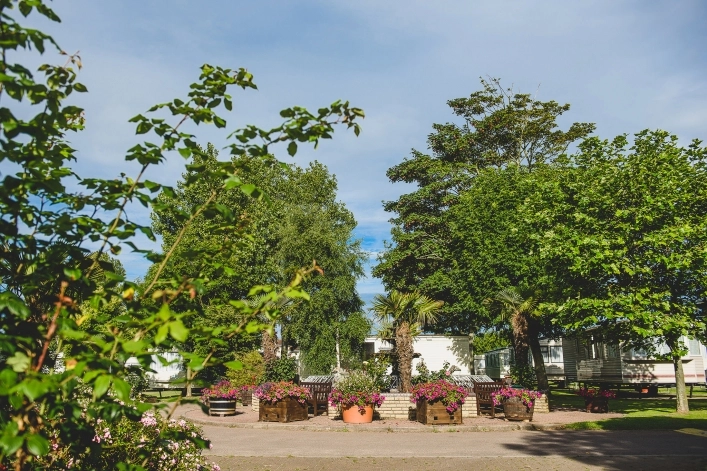 zobacz camping - zdjęcie 10