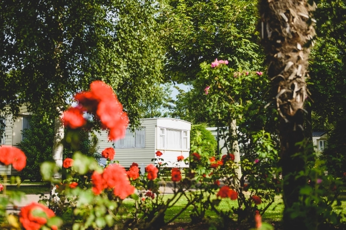 zobacz camping - zdjęcie 5