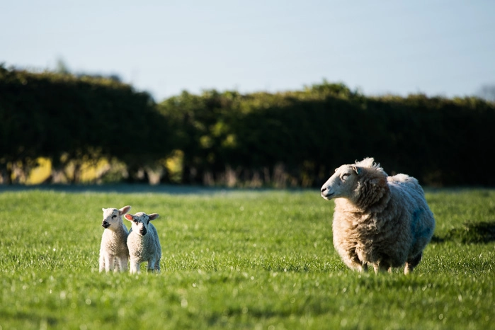 zobacz camping - zdjęcie 2