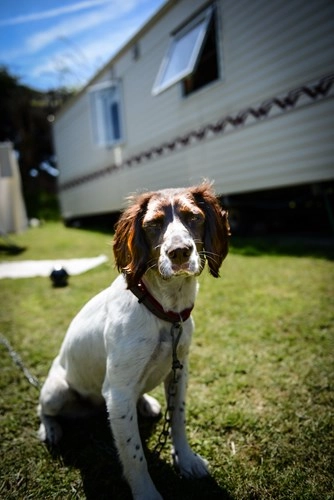 zobacz camping - zdjęcie 10