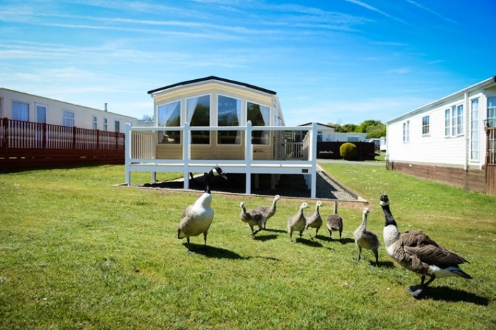 Greenfields Caravan Park - zdjęcie 3