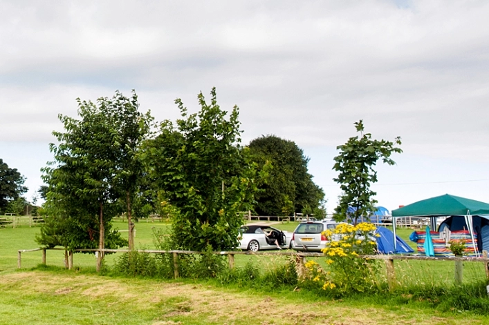 zobacz camping - zdjęcie 15