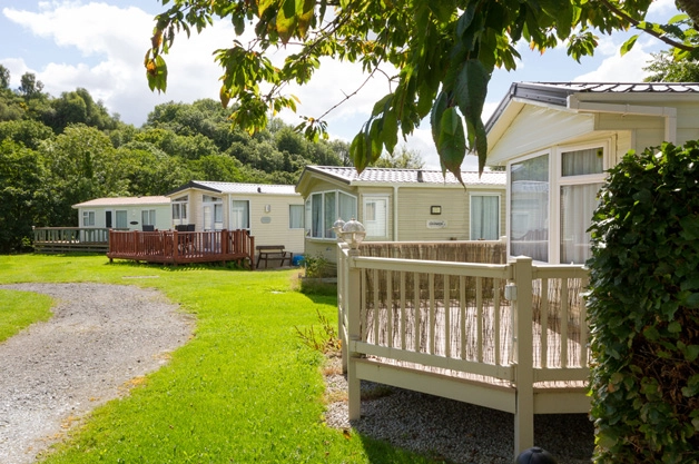 zobacz camping - zdjęcie 16