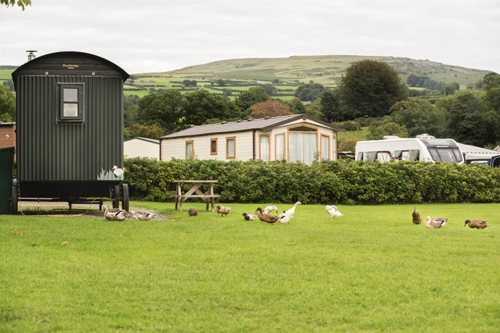 zobacz camping - zdjęcie 14