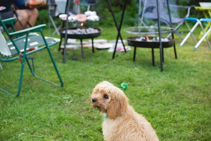 zobacz camping - zdjęcie 10