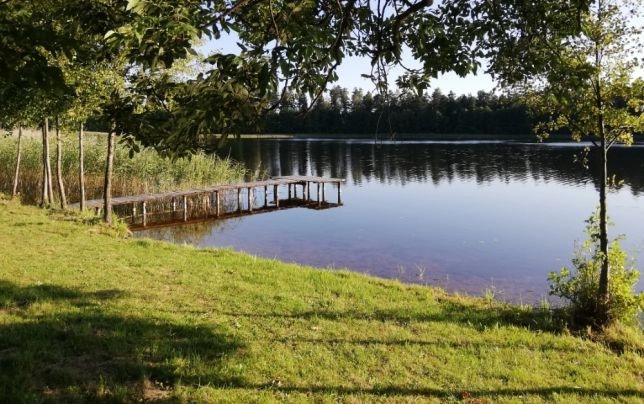 Pole kempingowe u Marty - zdjęcie 1